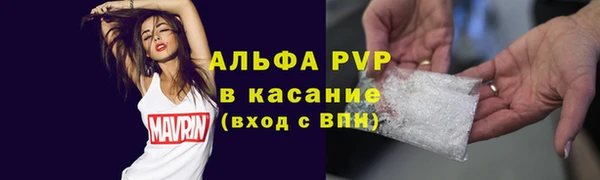 шишки Верхний Тагил